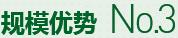 購(gòu)買(mǎi)蔬菜種子，鼎牌優(yōu)勢(shì)三