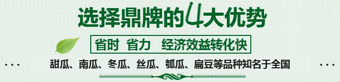 購(gòu)買(mǎi)蔬菜種子，選擇鼎牌的四大優(yōu)勢(shì)