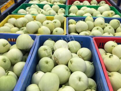 蔬菜種子種植戶客戶點評-5元1斤，這個新品種真香甜！