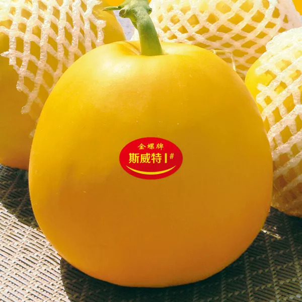 薄皮甜瓜，哪個品種最好呢？畝產(chǎn)高達10萬，附4種市場爆款品種