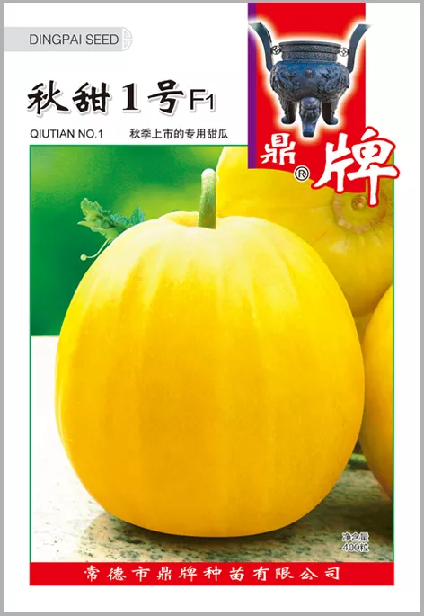 高溫季節(jié)種植甜瓜，什么品種最好？這個(gè)品種是秋季上市的專用品種