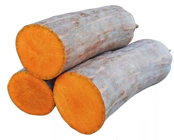 生吃都好吃南瓜新品種，沒有大肚子，肉質(zhì)更密致，農(nóng)戶試種下