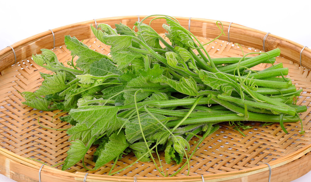 種這種綠葉菜，栽培輕松，畝產(chǎn)值過萬元，菜農(nóng)表示很劃算