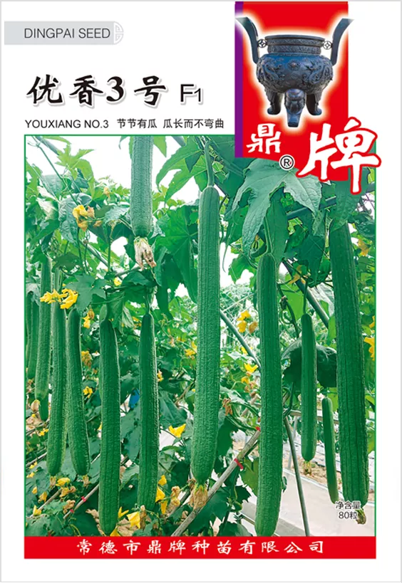 它是絲瓜種植戶的新選擇，節(jié)節(jié)有瓜，瓜長而不彎曲