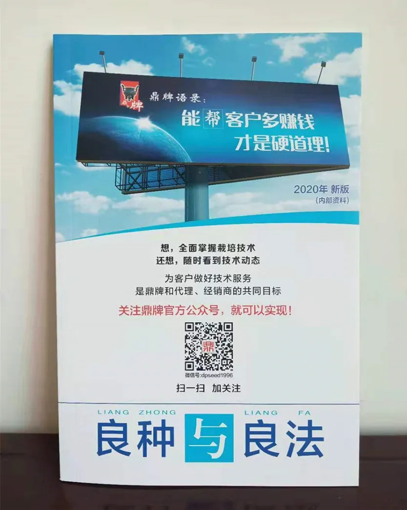 河南焦作的李向林今年種植甜瓜新品種，客戶直接拉貨走人