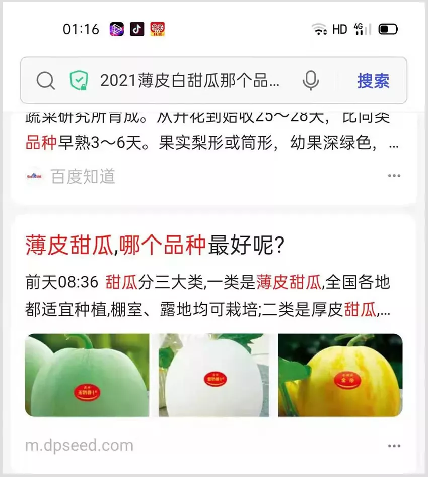 河南焦作的李向林今年種植甜瓜新品種，客戶直接拉貨走人