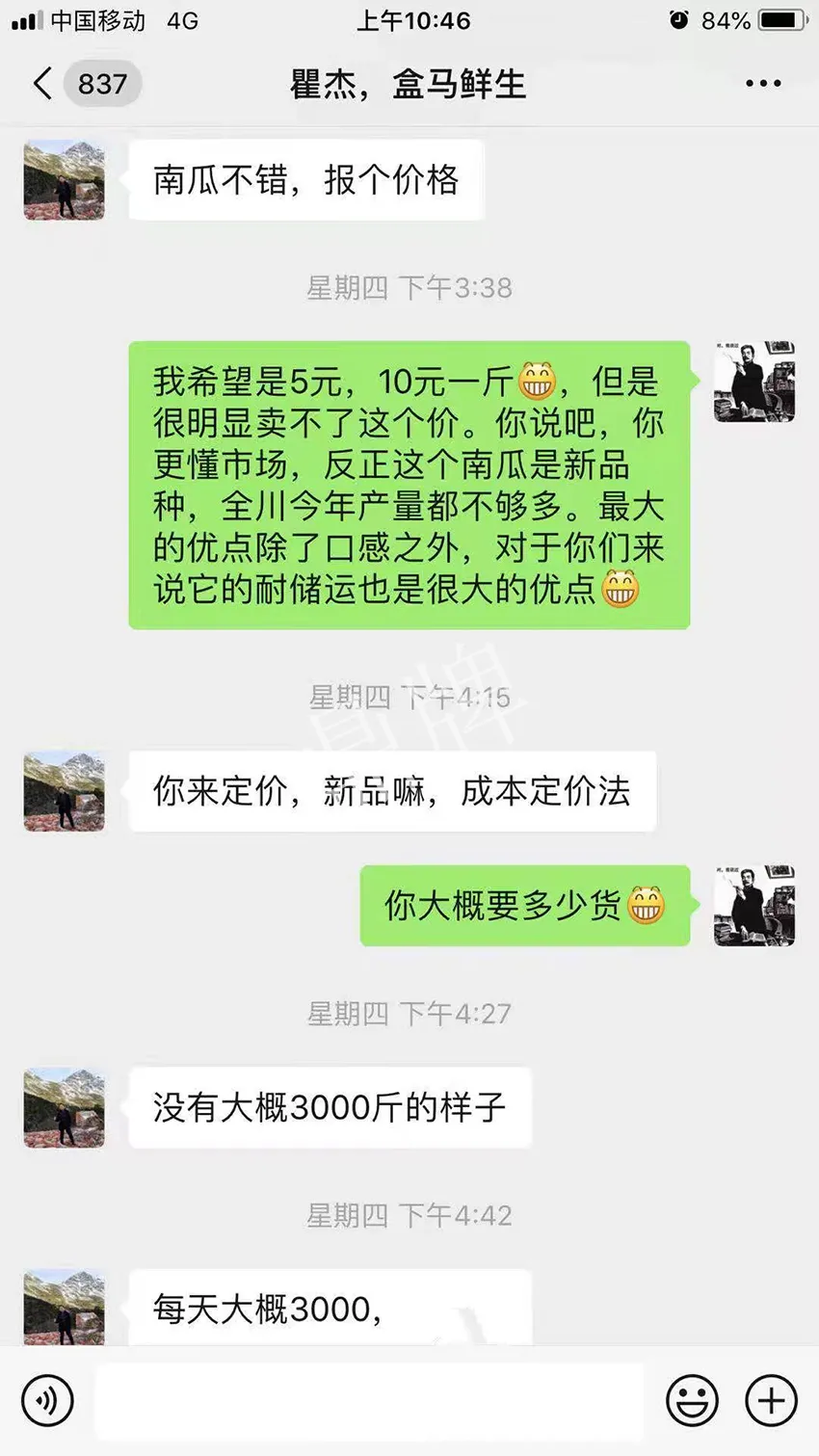 四川農(nóng)戶今年種“健美蜜本”南瓜產(chǎn)量高，品質(zhì)好，感覺巴適得很