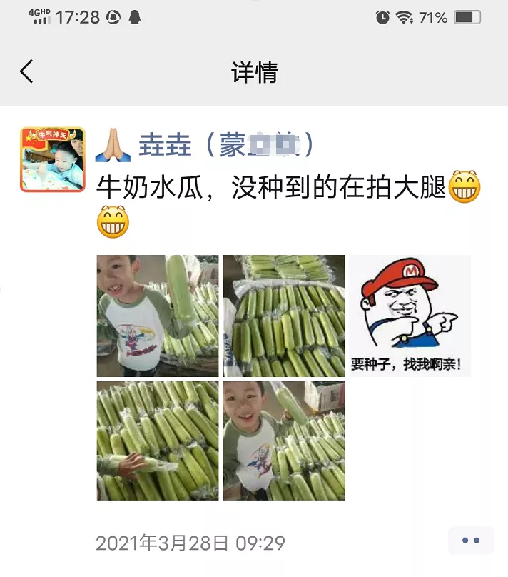 這個(gè)絲瓜每畝能掙3萬，沒種植的農(nóng)戶后悔得拍大腿